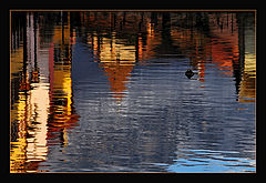 photo "Water Reflection"