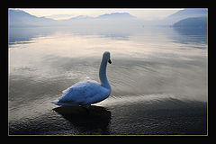 photo "Seating On the Dock of the Bay..."