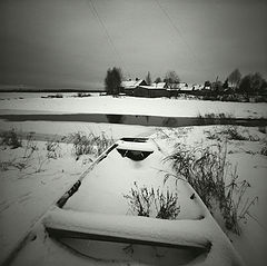 фото "зябкая"