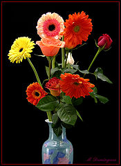 photo "flowers"