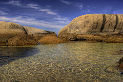 photo "African pinguins home #2"