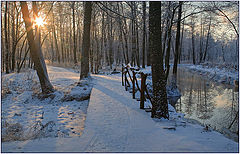 photo "The winter sun"