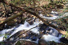 photo "Cascades along the river"