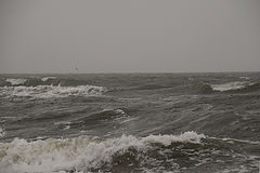 photo "***"