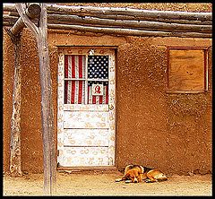 фото "Dog and door"