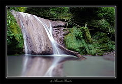 photo "***"