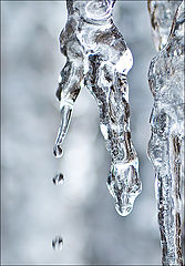 photo "Ice Snake"