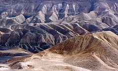 photo "~ Negev, the  Land of Abraham 2# ~"