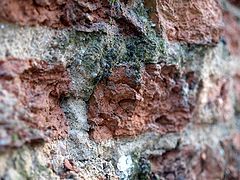 photo "STONED"
