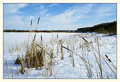 фото "На речке"