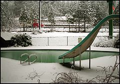 photo "California winter"