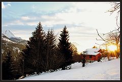 photo "Still light"
