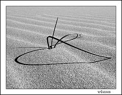 photo "Plant signature - Firma vegetal"