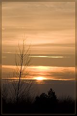 photo "Just sunset"