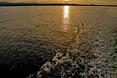 photo "The Magic Light"