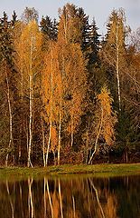 фото "Есенинская осень"