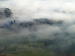 photo "Mist, Scottish Borders"