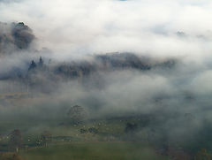 фото "Mist, Scottish Borders"
