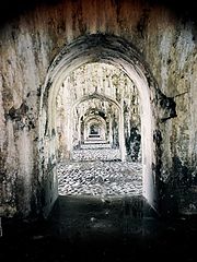 фото "Endless Paradise"