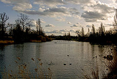 фото "Lake at dusk"
