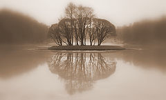 photo "***"