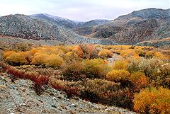 фото "Осень среди скал"