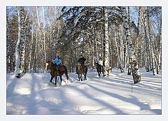 photo "Winter walk"