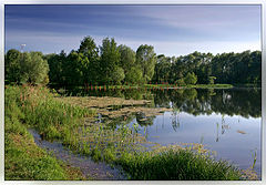фото "Весна"