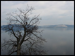 фото "Волга"