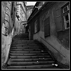 фото "***"