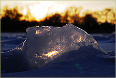 photo "Iceberg"