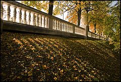 photo "Rhythms of autumn"