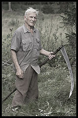 photo "On haymaking / 0180_0283"