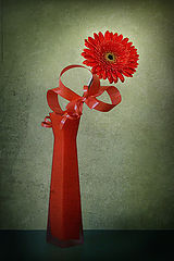 photo "*"