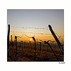 фото "Maria Klein Dreieichen"