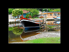 photo "Psalm 23"