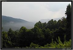 фото "Trail View"