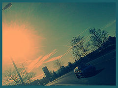 photo "***"