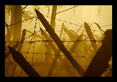 photo "***"