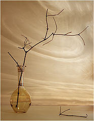 photo "***"