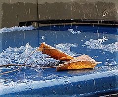 photo "Transition period"