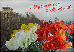 photo "***"