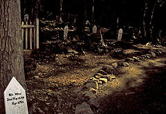 фото "Gold Rush Cemetery"