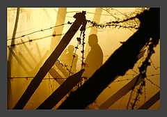 photo "***"