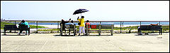 photo "Summer: ocean shore"