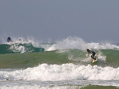 фото "SURF"