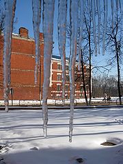 фото "Первые"