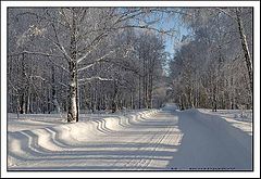 photo "Siberian Dao"