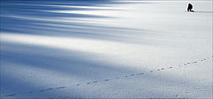 photo "***"