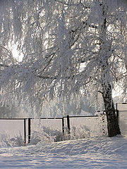 фото "Ещё зима."